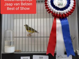 jaap van belzen 